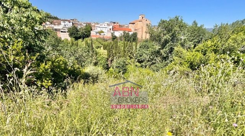 Valencia - Albaida - 7091m2