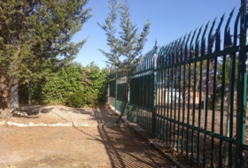 Foto 7