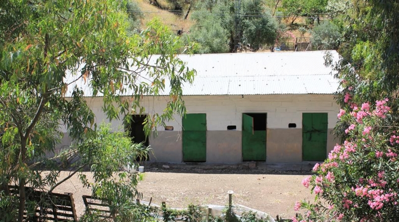 Cádiz - El Gastor - 29434m2