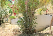 Casa de campo con terreno en venta en la España, El Gastor, ref: TR108323 foto