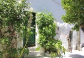 Casa de campo con terreno en venta en la España, El Gastor, ref: TR108323 foto