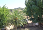 Casa de campo con terreno en venta en la España, El Gastor, ref: TR108323 foto