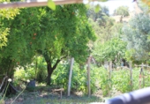 Casa de campo con terreno en venta en la España, El Gastor, ref: TR108323 foto