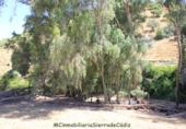 Casa de campo con terreno en venta en la España, El Gastor, ref: TR108323 foto