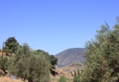 Casa de campo con terreno en venta en la España, El Gastor, ref: TR108323 foto