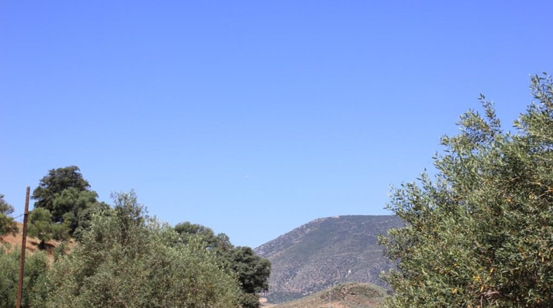 Cádiz - El Gastor - 29434m2