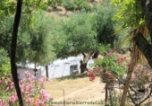 Casa de campo con terreno en venta en la España, El Gastor, ref: TR108323 foto
