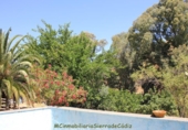 Casa de campo con terreno en venta en la España, El Gastor, ref: TR108323 foto