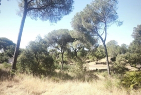 Moguer 30000&nbsp;m²