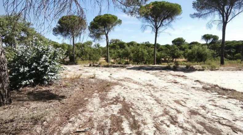 Huelva - Moguer - 30000m2