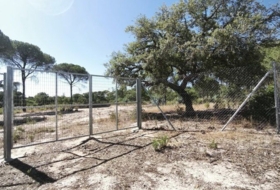 Moguer 30000&nbsp;m²