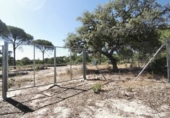 Finca rústica en venta en Moguer ref: TR413043 foto