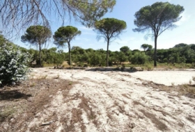 Moguer 30000&nbsp;m²