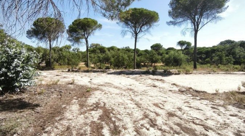 Huelva - Moguer - 30000m2