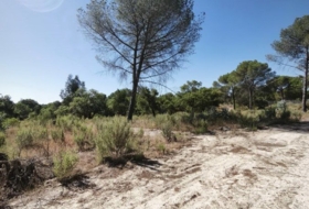 Moguer 30000&nbsp;m²
