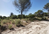 Finca rústica en venta en Moguer ref: TR413043 foto