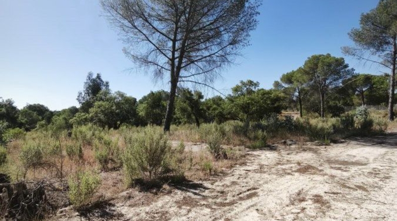Huelva - Moguer - 30000m2