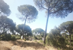 Moguer 30000&nbsp;m²