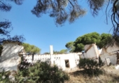 Finca rústica en venta en Moguer ref: TR413043 foto