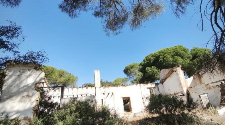 Huelva - Moguer - 30000m2