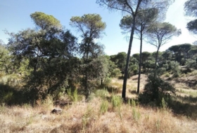 Moguer 30000&nbsp;m²