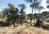 Finca rústica en venta en Moguer ref: TR413043 foto