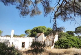 Moguer 30000&nbsp;m²