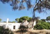 Finca rústica en venta en Moguer ref: TR413043 foto