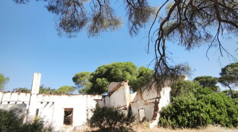 Huelva - Moguer - 30000m2