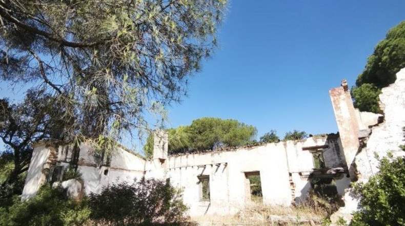 Huelva - Moguer - 30000m2