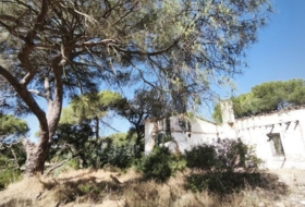 Moguer 30000&nbsp;m²