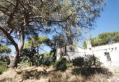 Finca rústica en venta en Moguer ref: TR413043 foto