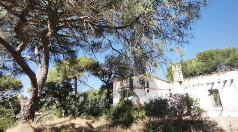 Huelva - Moguer - 30000m2