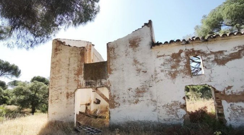 Huelva - Moguer - 30000m2