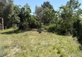 Detached villa with land for sale in Tordera ref: TR413044 photo