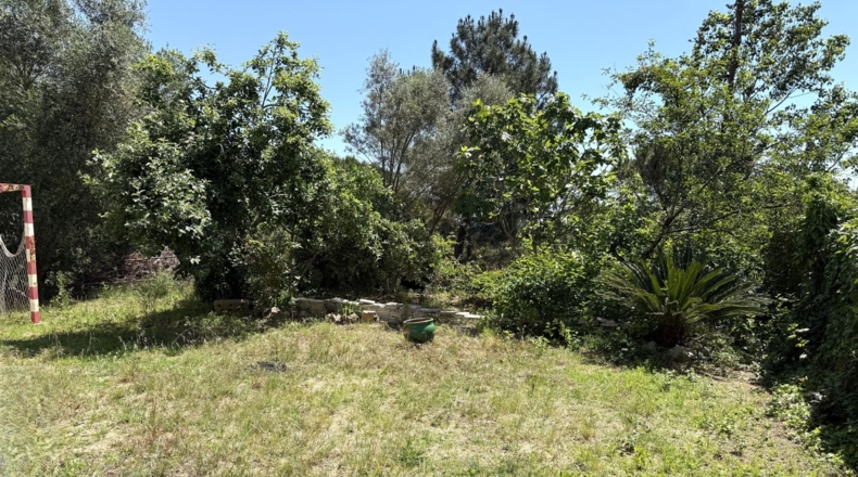 Barcelona - Tordera - 831m2