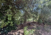 Detached villa with land for sale in Tordera ref: TR413044 photo