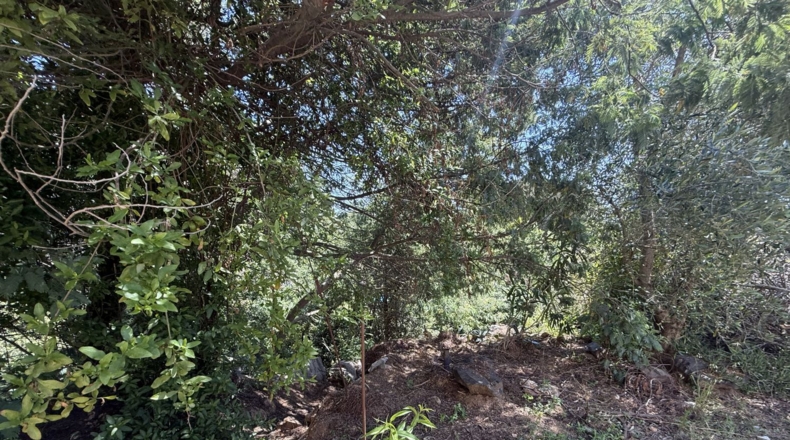 Barcelona - Tordera - 831m2