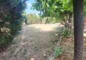 Chalet independiente con terreno en venta en Roquetes ref: TR413045 foto