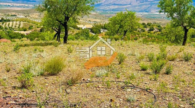Almeria - Vélez-Rubio - 60000m2