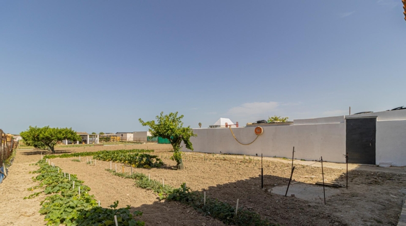Cádiz - Эль-Пуэрто-де-Санта-Мария - 1600m2