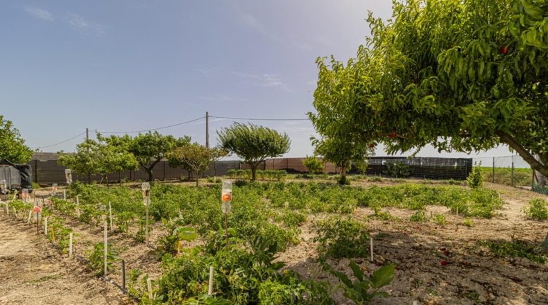 Cádiz - Эль-Пуэрто-де-Санта-Мария - 1600m2