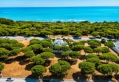 Chalet independiente con terreno en venta en Chiclana de la Frontera ref: TR394574 foto