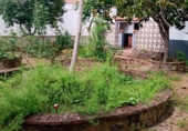 Chalet independiente con terreno en venta en Los Marines ref: TR413054 foto