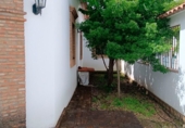 Chalet independiente con terreno en venta en Los Marines ref: TR413054 foto