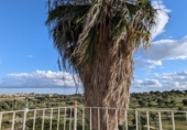 Casa de pueblo en venta en Tomares ref: TR413057 foto
