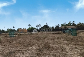 Novelda 4593&nbsp;m²