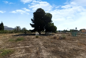 Novelda 4593&nbsp;m²