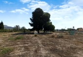 Terreno con Almacén en venta en la España, Novelda, ref: TR413058 foto