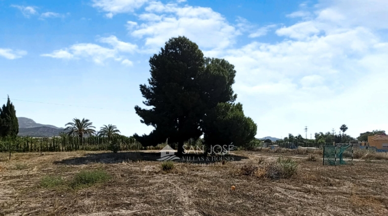 Alicante - Novelda - 4593m2